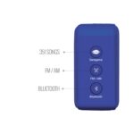 Saregama Carvaan Mini 2.0 (Regal Blue)