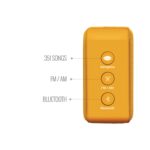 Saregama Carvaan Mini 2.0 (Saffron Orange)